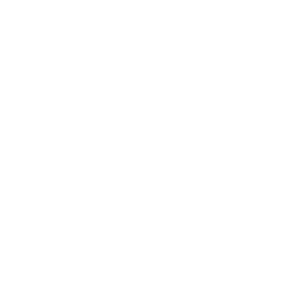 ISO-9001-white